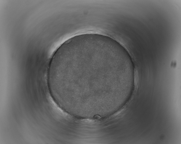 X0000111801500200908131424