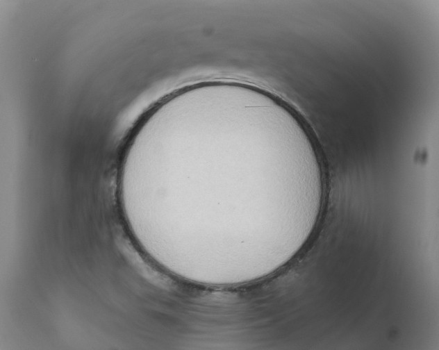 X0000111801503200908131424