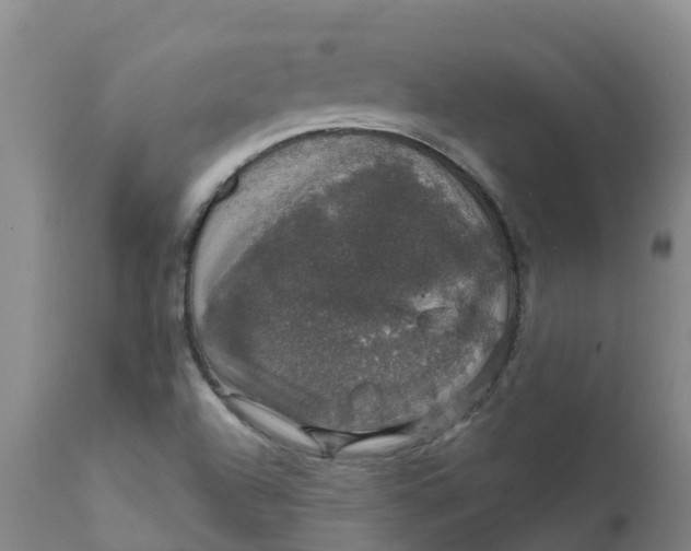 X0000111801504200908131424