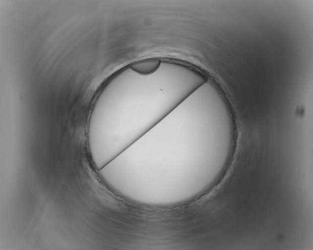 X0000111801505200908131424