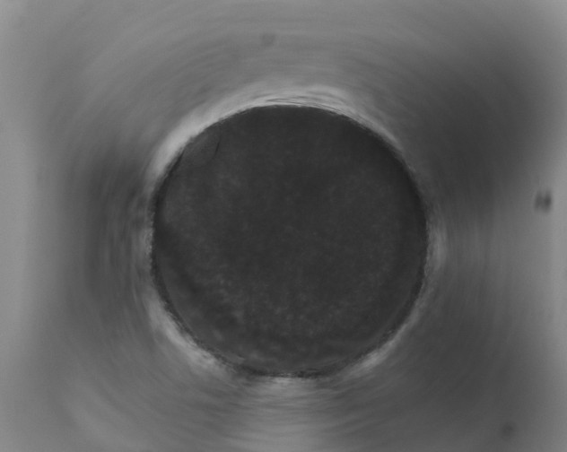X0000111801506200908131424
