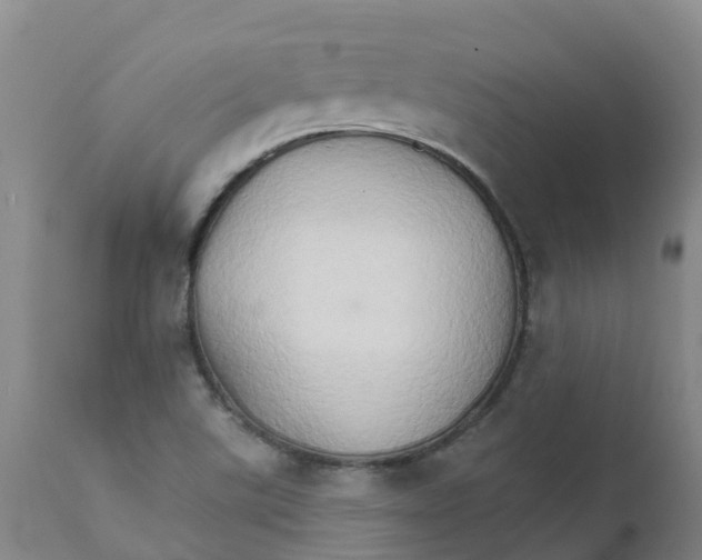 X0000111801507200908131424
