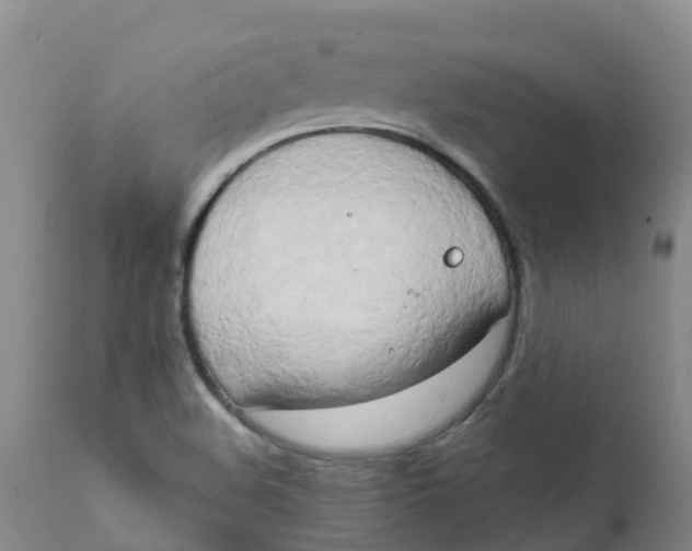 X0000111801508200908131424