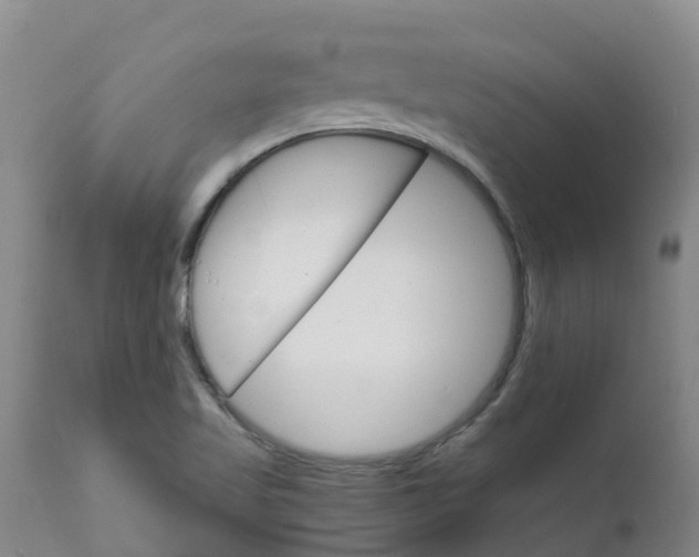 X0000111801509200908131424