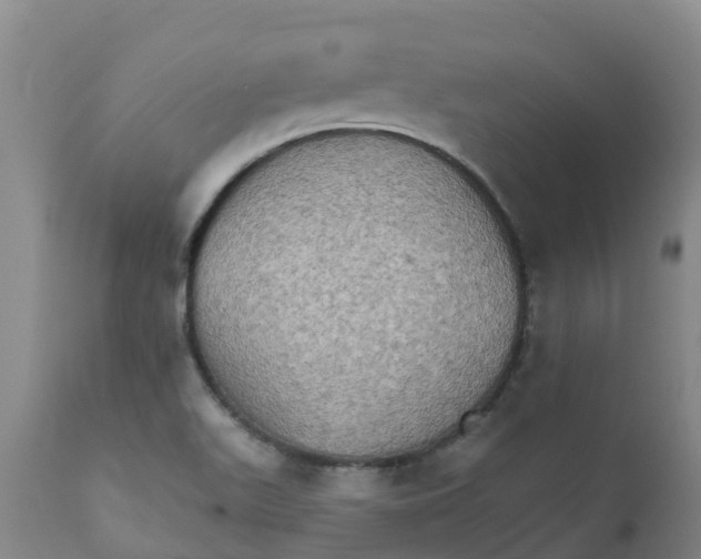 X0000111801511200908131424
