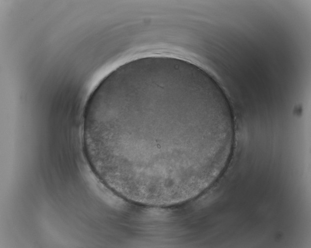 X0000111801514200908131424