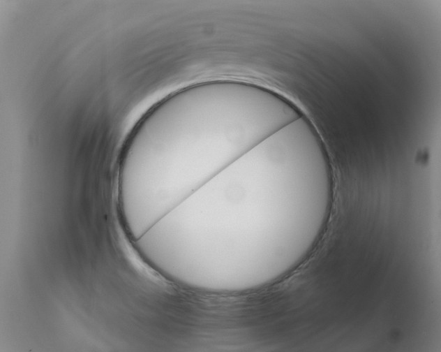 X0000111801515200908131424