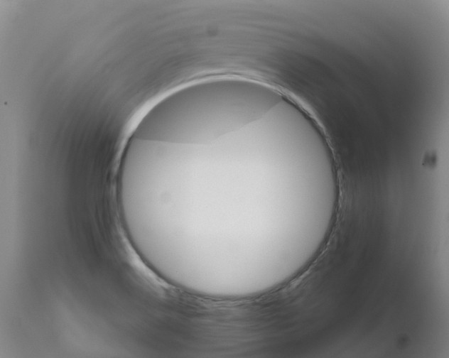 X0000111801516200908131424