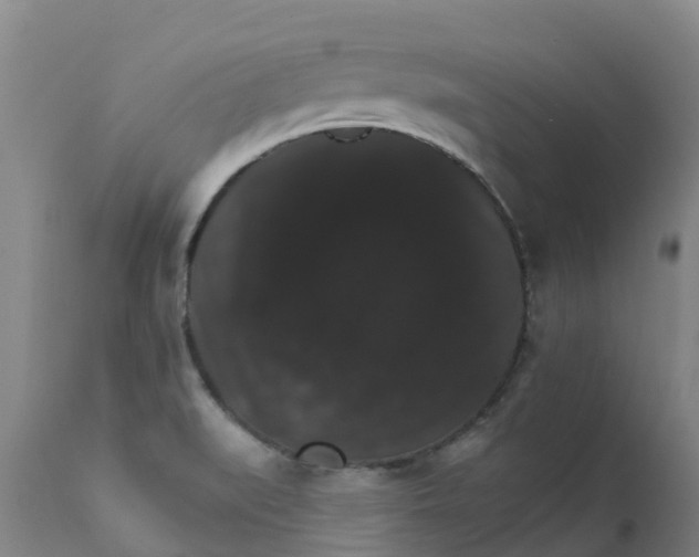 X0000111801519200908131424