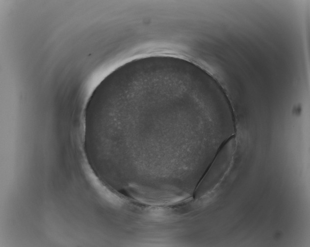 X0000111801520200908131424