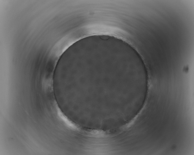 X0000111801521200908131424