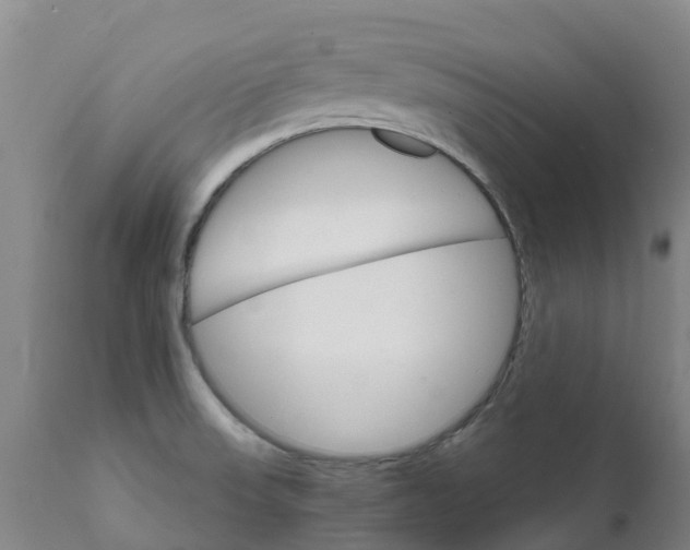 X0000111801523200908131424