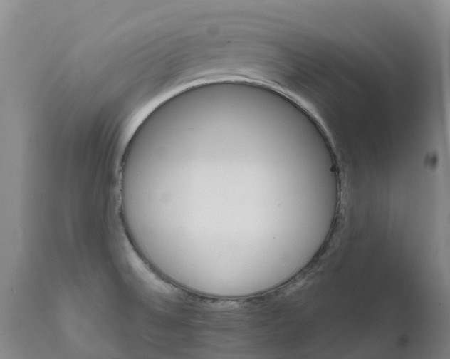 X0000111801524200908131424