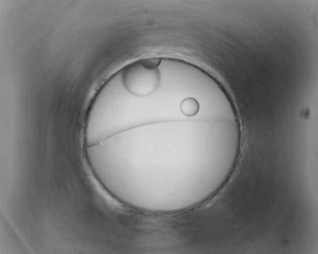 X0000111801525200908131424