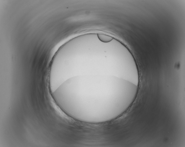 X0000111801526200908131424