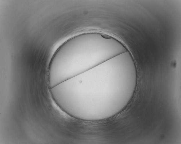 X0000111801527200908131424