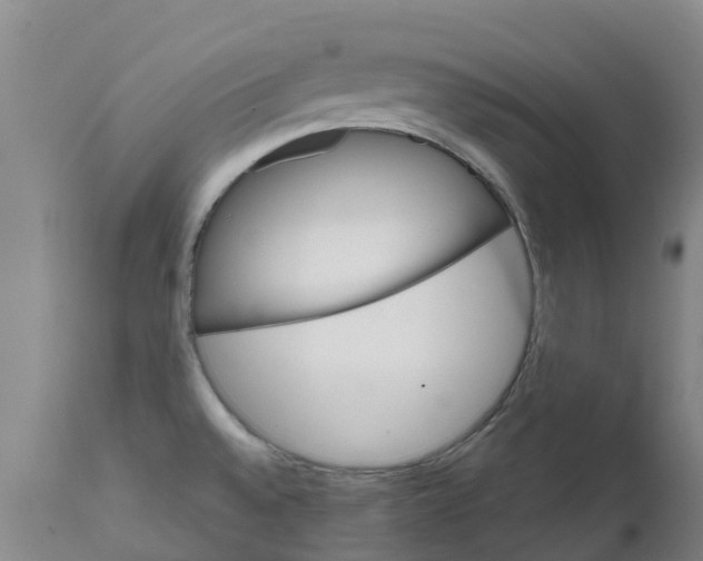 X0000111801528200908131424