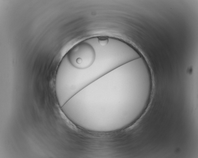 X0000111801529200908131424