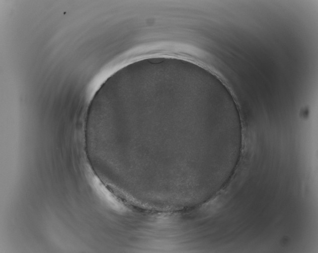 X0000111801530200908131424