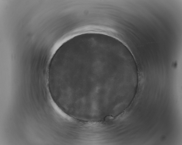 X0000111801531200908131424