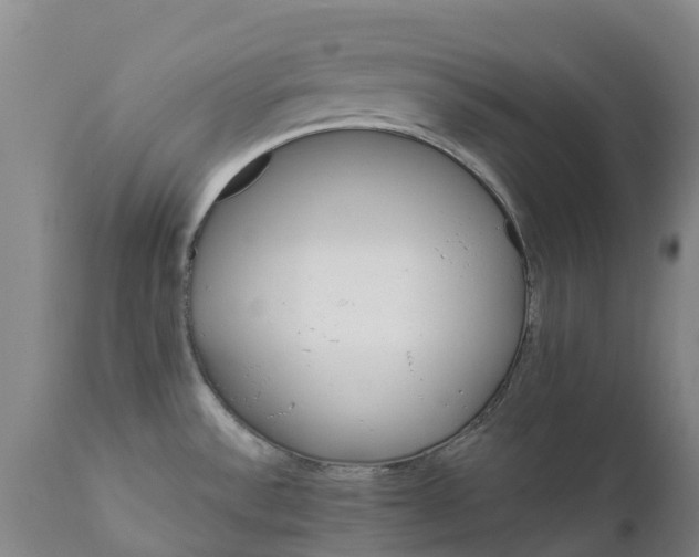 X0000111801532200908131424