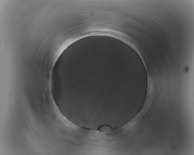 X0000111801533200908131424