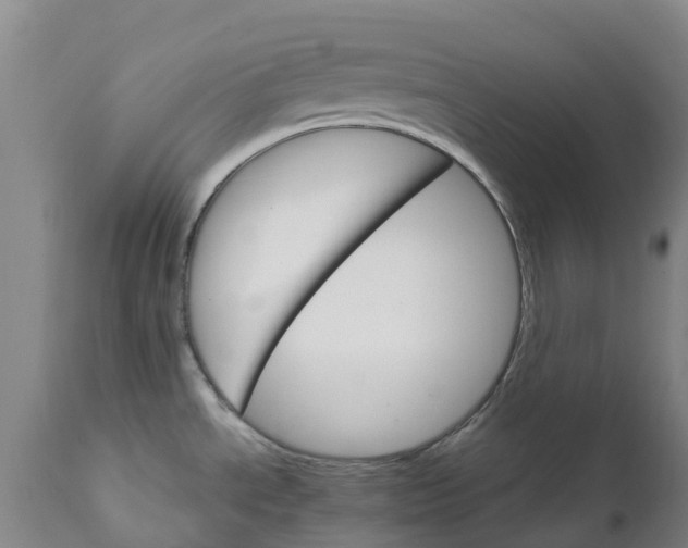 X0000111801534200908131424