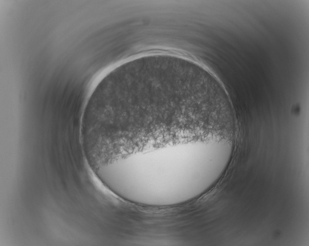X0000111801535200908131424