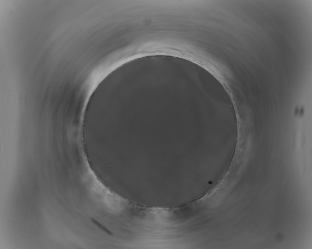 X0000111801536200908131424