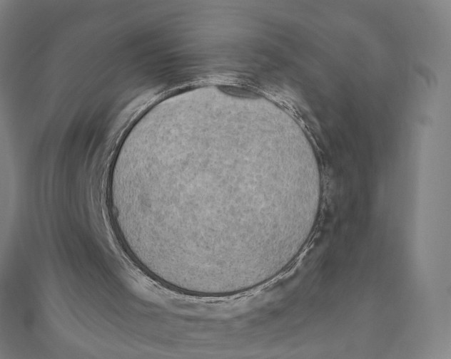 X0000111800001200908201203