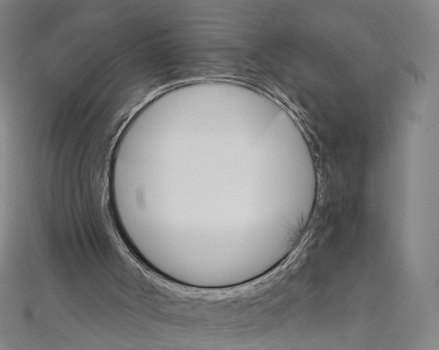 X0000111800002200908201203
