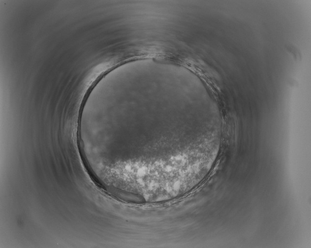 X0000111800003200908201203