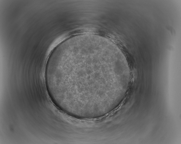 X0000111800004200908201203