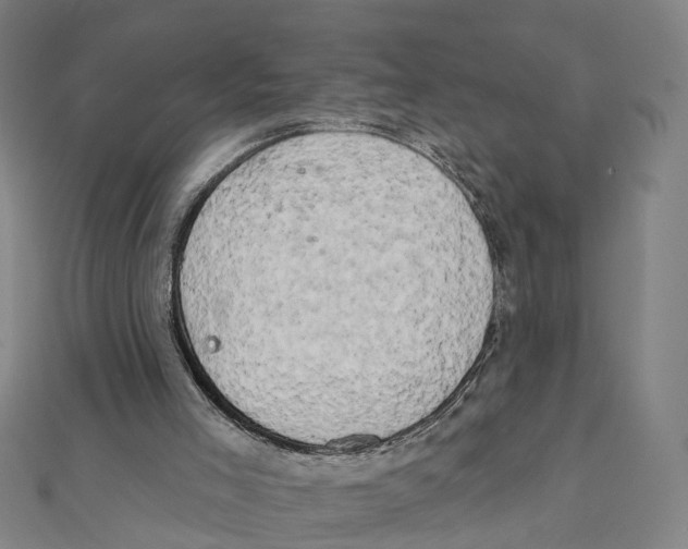 X0000111800005200908201203