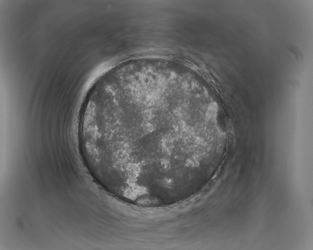 X0000111800006200908201203