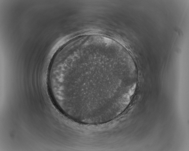 X0000111800007200908201203