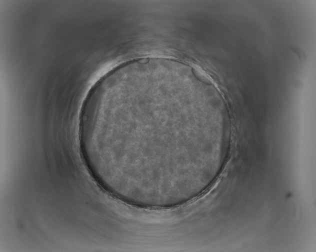 X0000111800008200908201203