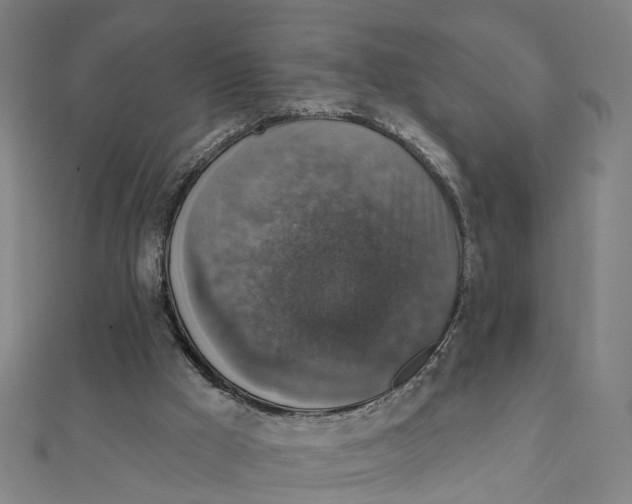 X0000111800009200908201203