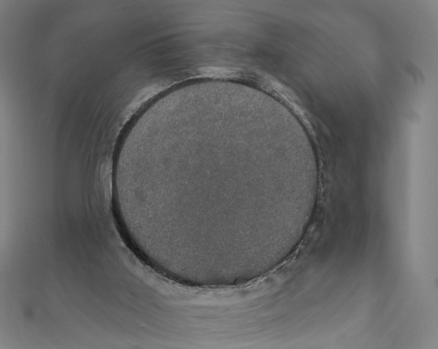 X0000111800011200908201203