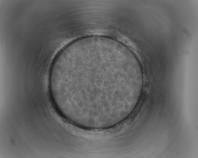 X0000111800012200908201203