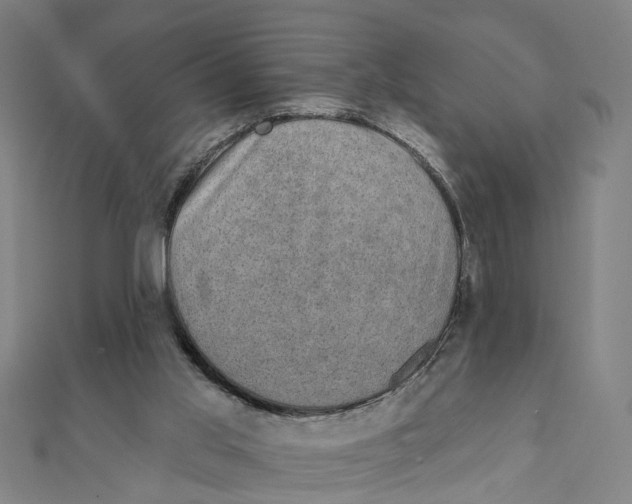 X0000111800013200908201203