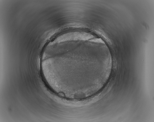 X0000111800014200908201203