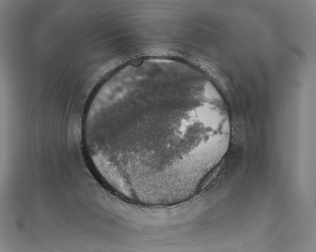 X0000111800015200908201203