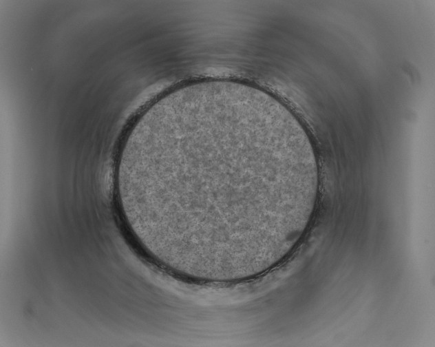X0000111800016200908201203