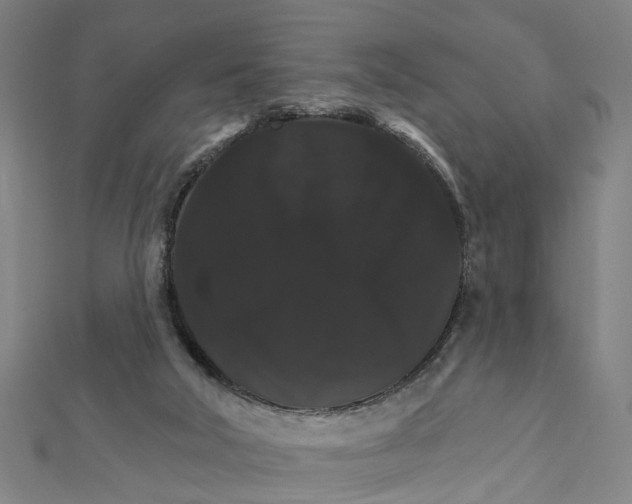 X0000111800018200908201203