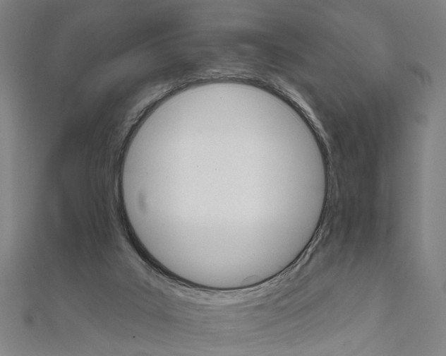 X0000111800019200908201203