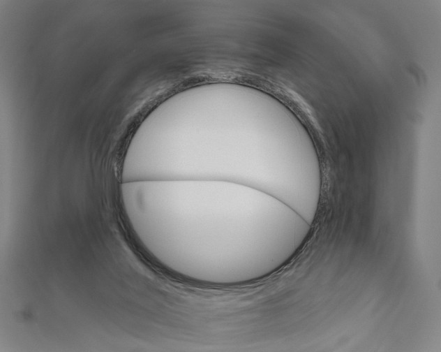 X0000111800020200908201203