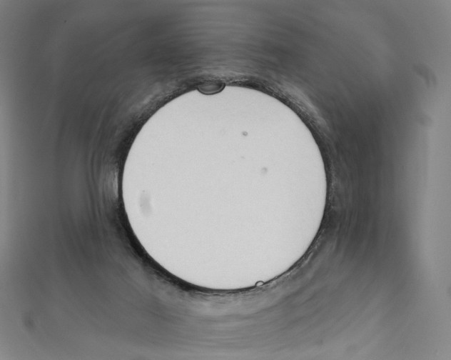 X0000111800021200908201203