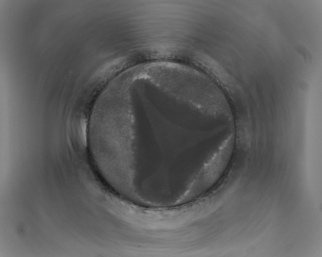 X0000111800022200908201203