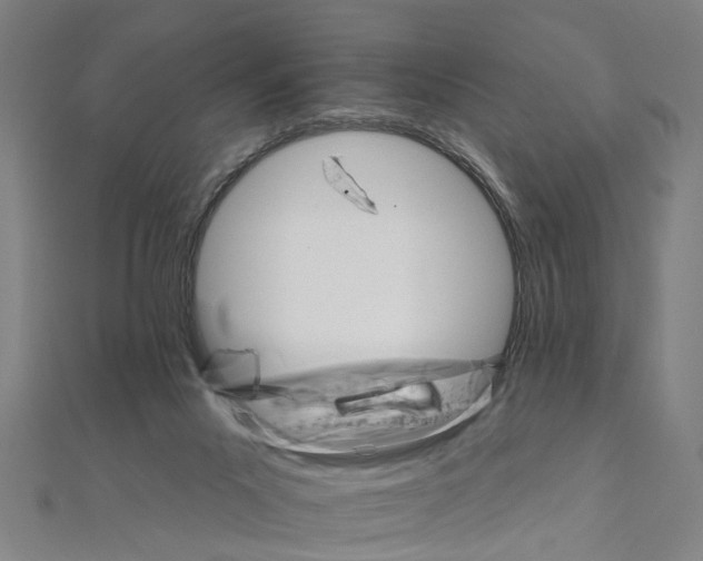 X0000111800023200908201203